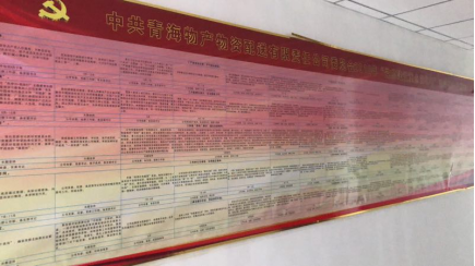 物產(chǎn)配送公司黨委“黨的建設(shè)重點(diǎn)強(qiáng)化年”活動(dòng)2018年工作任務(wù)、組織保障具體化